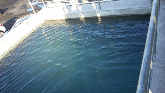 惠州业股份有限公司