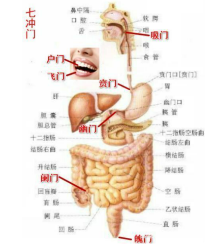 图片4.png